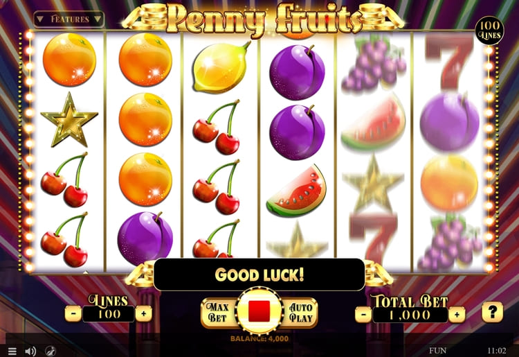 Встроенные бонусы и опции Penny Fruits